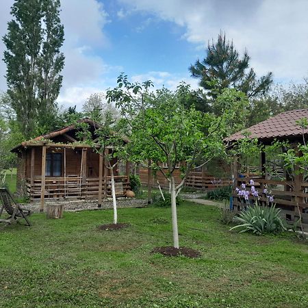 Tiny Houses Genacvale Martvili Exterior photo