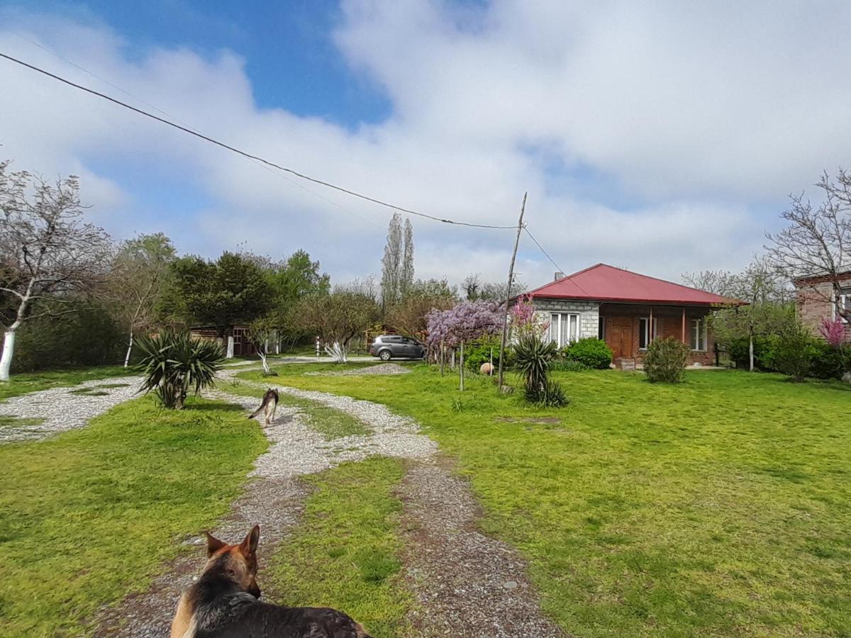 Tiny Houses Genacvale Martvili Exterior photo