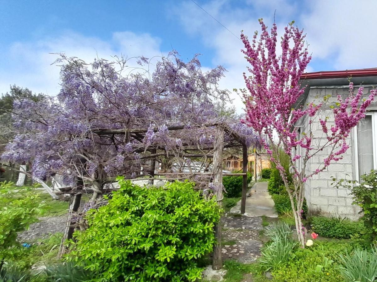 Tiny Houses Genacvale Martvili Exterior photo