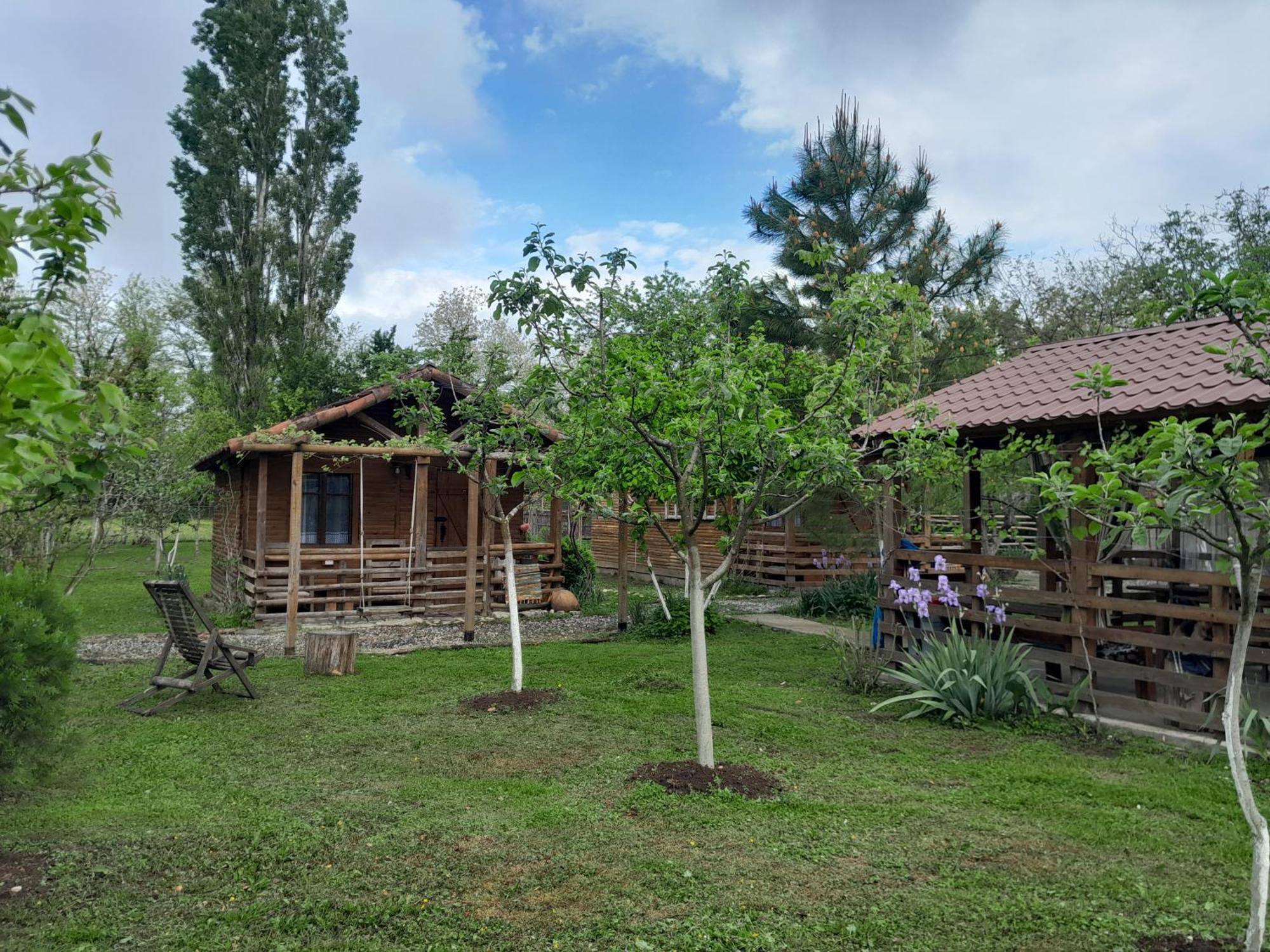 Tiny Houses Genacvale Martvili Exterior photo
